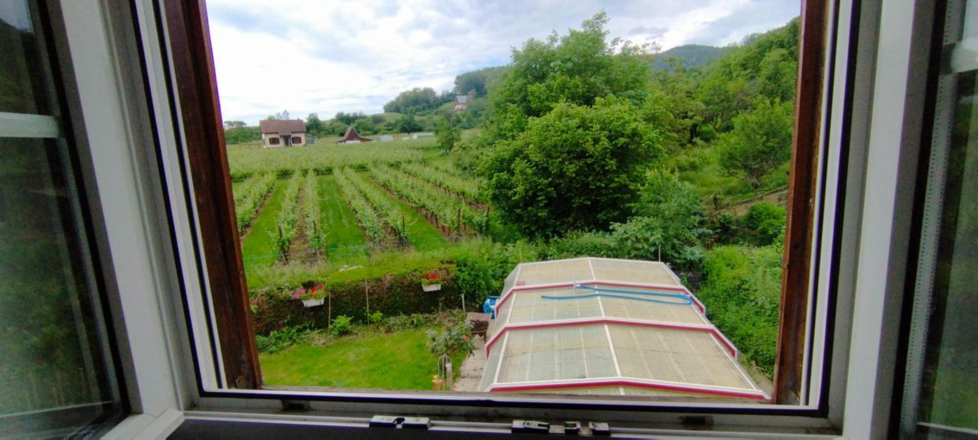 La Ferme Des Perles Noires Hotel Ribeauvillé Eksteriør billede